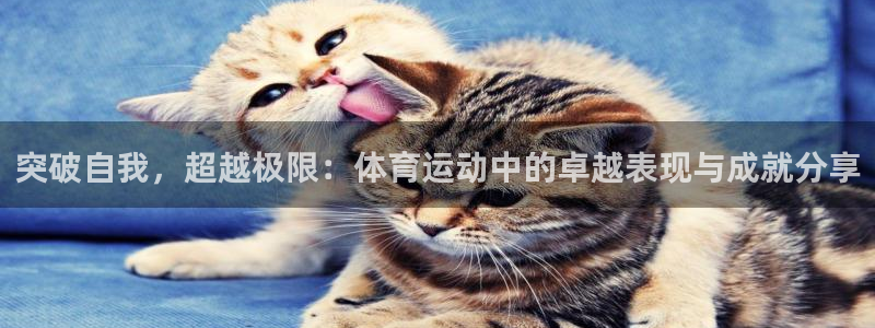 必一运动sport官网：突破自我，超越极限：体育运动中的卓越表现与成就分享