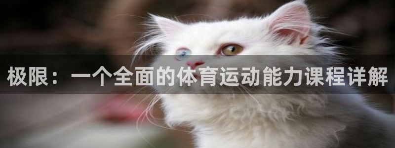 必一运动体育网页：极限：一个全面的体育运动能力课程详解