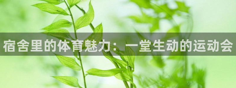 必一运动官网登录入口：宿舍里的体育魅力：一堂生动的运动会