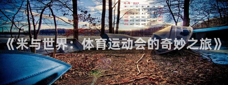 必一运动bsport体育：《米与世界：体育运动会的奇妙之旅》