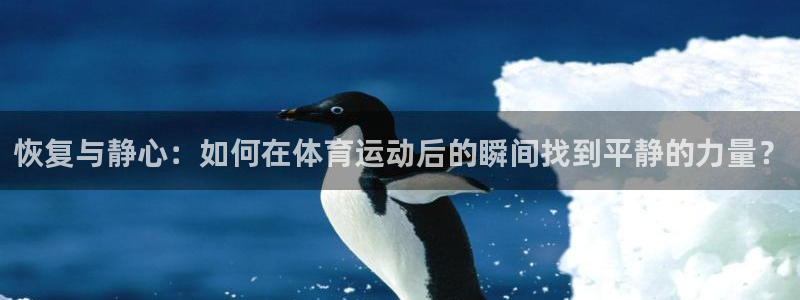 必一运动bsport体育：恢复与静心：如何在体育运动后的瞬间找到平静的力量？