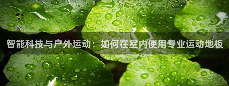 bsports官网 必一运动：智能科技与户外运动：如何在室内使用专业运动地板