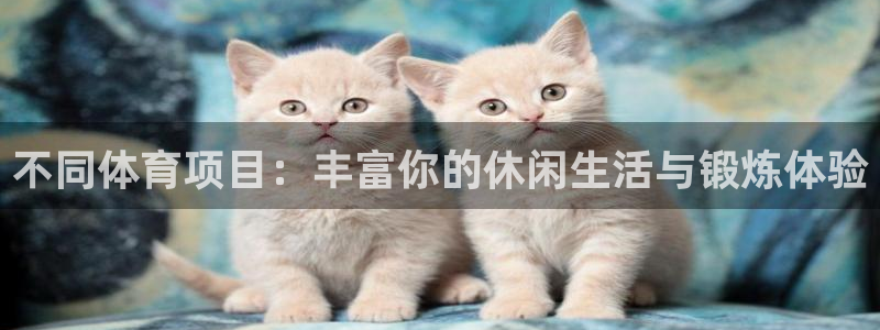 必一运动体育app下载：不同体育项目：丰富你的休闲生活与锻炼体验