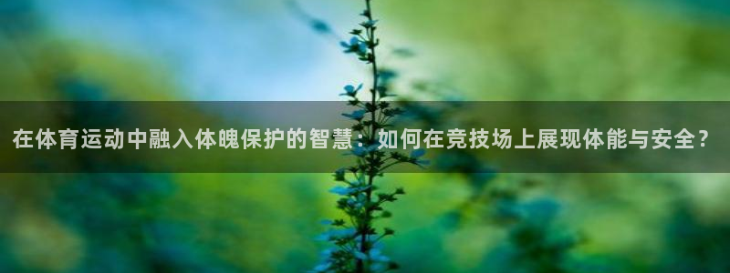 必一运动科技有限公司：在体育运动中融入体魄保护的智慧：如何在竞技场上展现体能与安全？